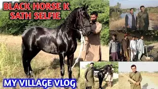 Dilraj Black Horse k Sath Selfie Li l Baba Fateh Jangi