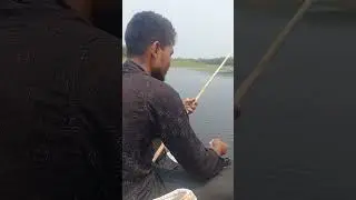 Amazing Hook Fishing. Hook Fishing Method #shorts2026 #fish #fishing