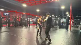 Boom UFC gym