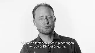 Björn Högberg: The art of folding DNA