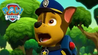 Swamp Rescue! - PAW Patrol Episode - Cartoons for Kids