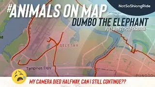 How to draw Dumbo the Elephant Strava Art, Animals Drawing on Map (Seletar - Punggol - Sengkang)