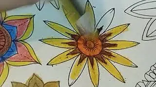 ASMR:Coloring ASMR:Flower :Color with me:Relaxing :Colored Pencils :coloring book