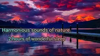 Best sleep music, listen and have 2 hours of pleasure