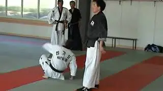 HAPKIMUDO - Stage Grand Maître Lee Eun Jong - Montpellier