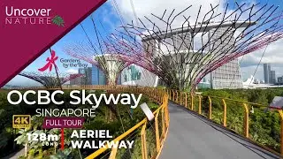 OCBC Skyway | Gardens by the Bay | Singapore | 4K