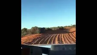 FJ CRUISER FRANCOIS PERON NATIONAL PARK time lapse