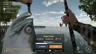 N.P.B 141lb Unique TARPON