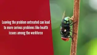 Professional Bed Bug Treatment Columbus Oh