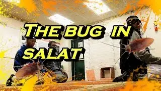 THE BUG IN SALAT