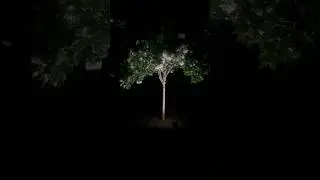 These humble little $10 landscape lights from Amazon make a huge difference at night! ✨🌳
