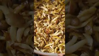 Miso, Mushroom & Guanciale Pasta Tease
