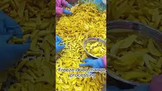 Freeze Dried Mangoes Wholesale Price  #freezedriedmango #freezedriedfruits