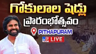 Deputy CM Pawan Kalyan LIVE | గోకులాల షెడ్లు ప్రారంభోత్సవం @ Pithapuram - TV9