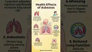 Health Effects of Asbestos #Asbestos #AsbestosExposure #HealthEffects #LungCancer #Asbestosis