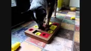 Hondenpuzzel