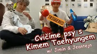 [CZECH] Cvičíme psy s: Kimem Taehyungem! [REUPLOAD]