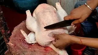 Amazing Live Chicken Cutting Skills || Awesome Knife Skills || Cutting Skills