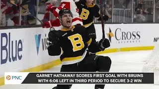 Bruins Become Fastest Team To Reach 50 Wins In NHL History