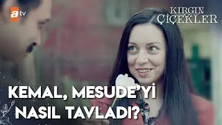Kemal ve Mesude'nin tanışma hikayesi | Kırgın Çiçekler 38. Bölüm