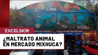 Alcald&iacute;a  VC atender&aacute; denuncias por presunto maltrato animal en el Mercado Mixhuca