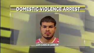 Domestic Violence Arrest, Luis Garcia Lebron
