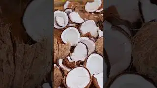 Traditional Shampoo Soap: Timeless Natural Hair Care | Sustainable Beauty & Heritage