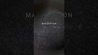 🍷Mac&eacute;ration Gamay Rouge ⏳ #vinrouge #redwine #vendanges #harvest #wine #winemaking #vin #winelife