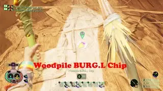 Where To Find Woodpile BURG.L Chip | Grounded | Into The Wood BURG.L Chip