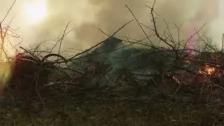 The Fury of Fire: Southern California's Blaze
