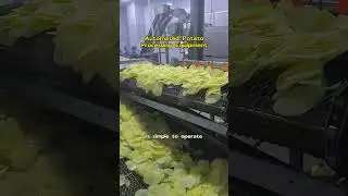 Fully automatic potato processing equipment#fyp #potatoprocessing #potatochips #potato