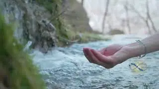 Mensagem da Vida