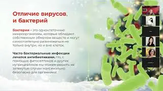 Как не разболеться в Новый год, инструкция по применению.