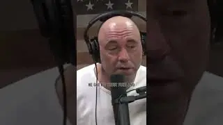 What is an intellectual? Video Games Vs Reading Books | Joe Rogan Clip