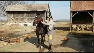 STVARNI ŽIVOT SLAVNIH: Jovan iz 'Ljubav je na selu'