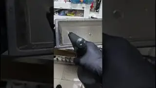 Cleaning Snake Enclosure &ndash; Watch Full Livestream for Reptile Care & Setup Tips!