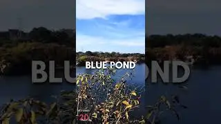 Blue Pond Ring Road Ranchi Tupudana Nh33 #nature #trending #holiday #bluepond