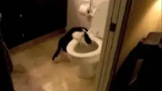 Why My Water Bill Was So High