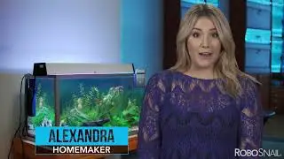 RoboSnail Alexandra testimonial