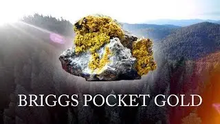 Briggs Pocket Gold