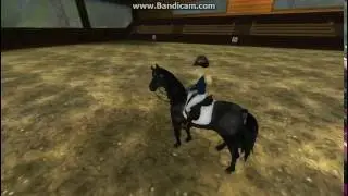 Dressyrprogram - STARSTABLE ONLINE EP 1