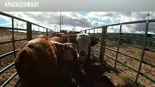 More videos coming soon