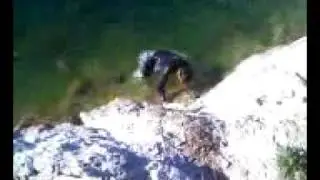 sergio mortal puente