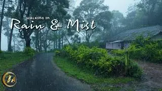 [ 4K ] Walking in Chilling Mist and Rain in Munnar | Relaxing Rainy Vibes | Relaxing ASMR Rain Walk