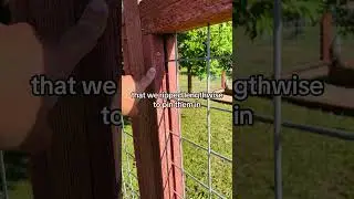 How to Build a Deer Fence for Garden