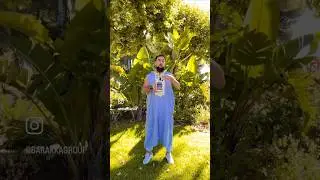 Prophetische Medizin - Weihrauch & Heilwurzel
