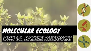 Molecular Ecology with Dr. Michele Nishiguchi