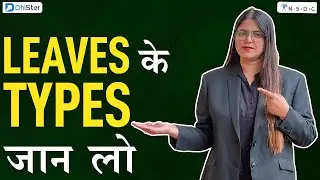 Types of Company Leaves in India | Employee Leaves Types in India  #leaves