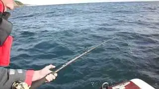 scarborough sea fishing 18lb 8oz cod caught by richard