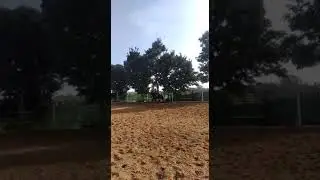 Natural Horsemanship Horseback Schooling Riding Training Holidays Vacation